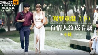 Idol Media ID5347 Mandarin Dreams Revisited Part 2 Lovers Will Get Married Wu Fangyi