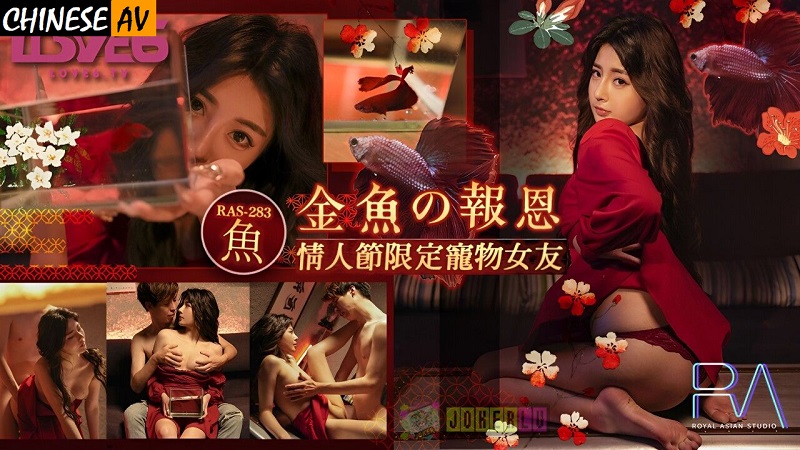 Royal Chinese RAS283 Goldfish's Return Valentine's Day Limited Pet Girlfriend Ranako 